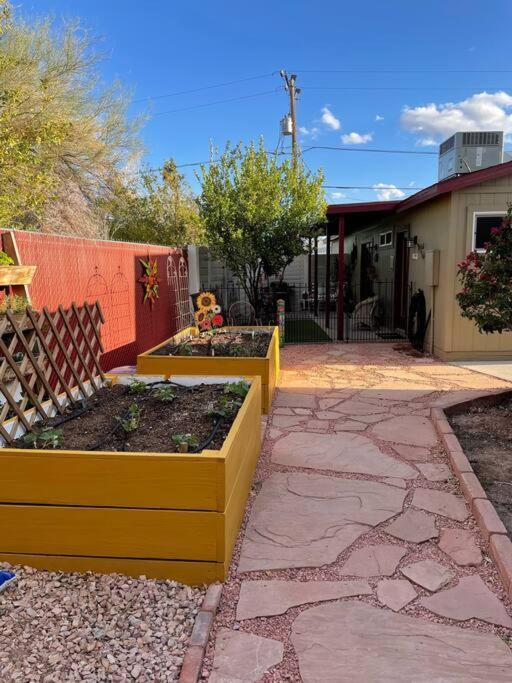 Encanto Cactus Flower Casita Phoenix Dış mekan fotoğraf